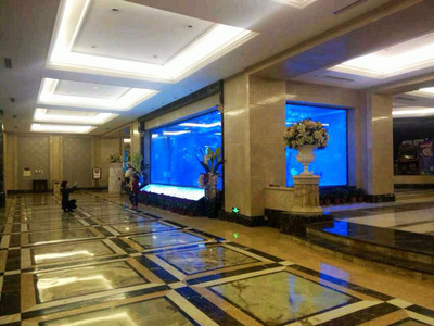 浙江酒店海鮮池廠家圖片|浙江酒店海鮮池廠家產(chǎn)品圖片由上海保翔魚(yú)缸制作公司公司生產(chǎn)提供-