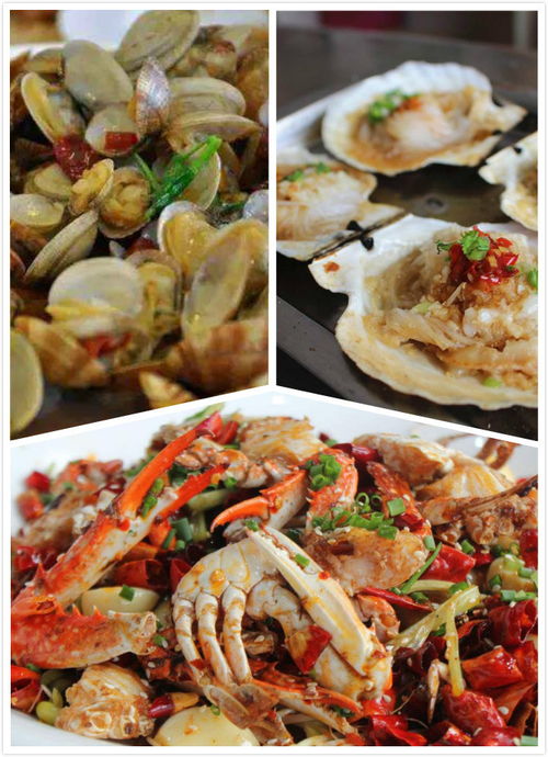 北戴河尋鮮指南 本地人帶路，解鎖地道海鮮美味