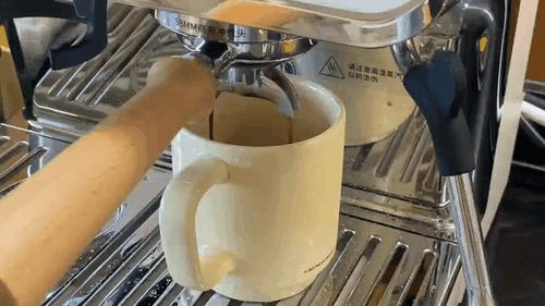 2024年家用咖啡機選購指南,家用咖啡機推薦攻略,含凱度 百勝圖 格米萊 蘇泊爾 宜盾普 柏翠 火箭rocket等 5月更新